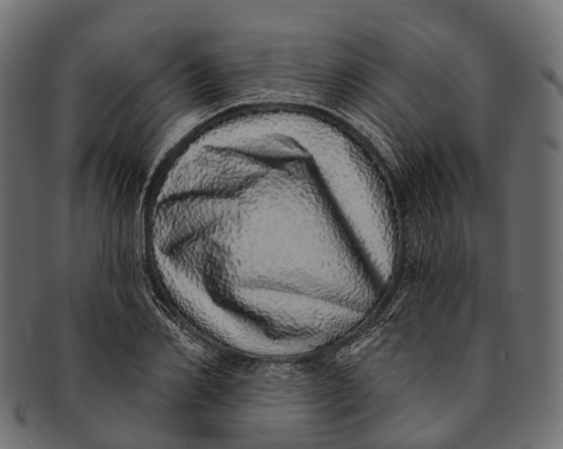 X0000091560982200709071123