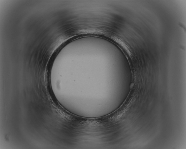 X0000091560983200709071123