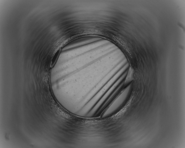 X0000091560985200709071123