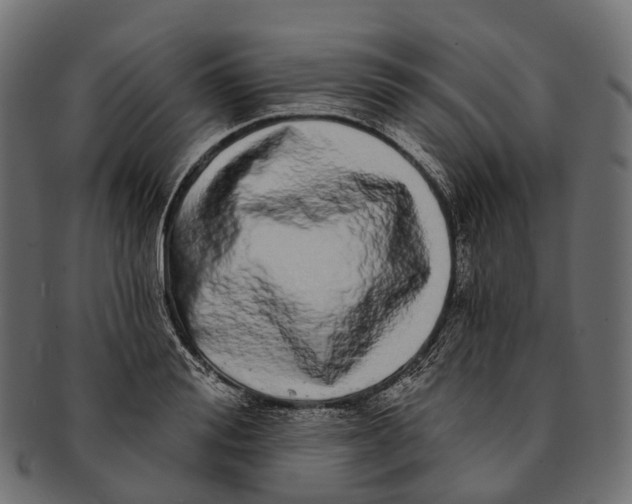 X0000091560988200709071123