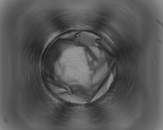 X0000091560990200709071123