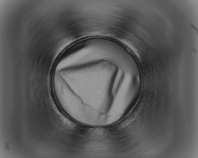 X0000091560991200709071123