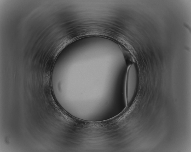 X0000091560993200709071123