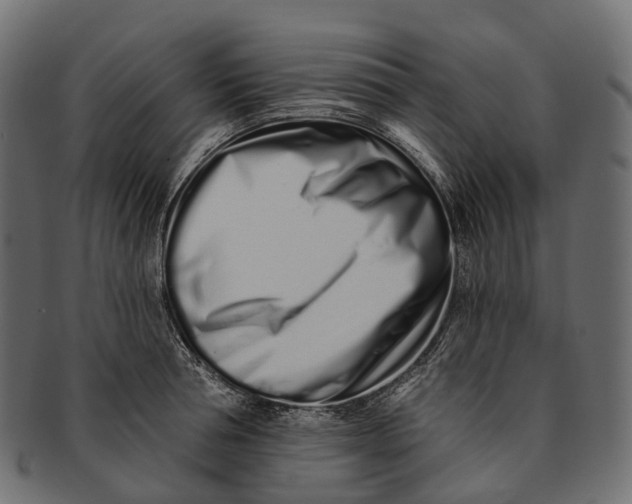 X0000091560994200709071123