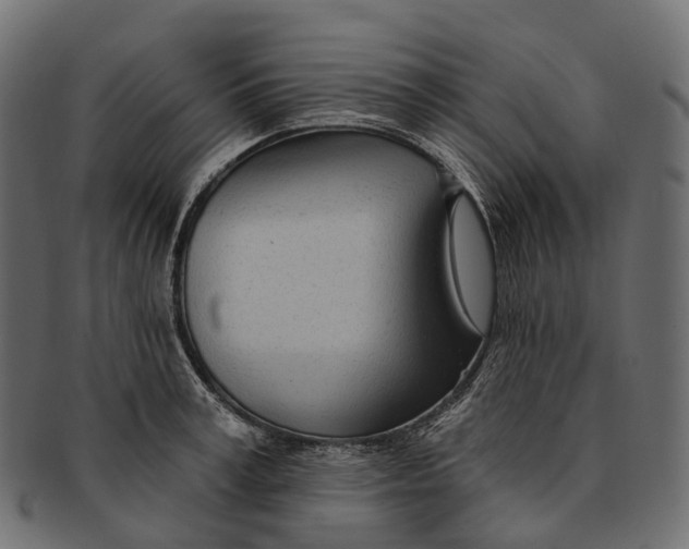 X0000091560995200709071123