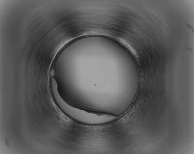 X0000091560996200709071123