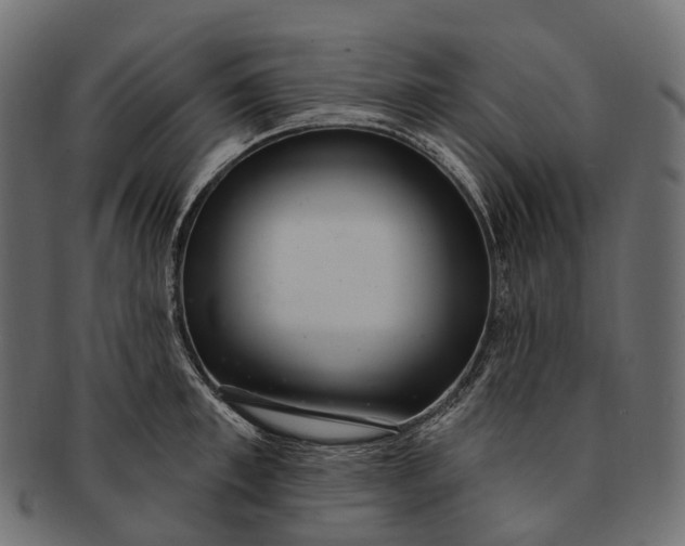 X0000091560997200709071123