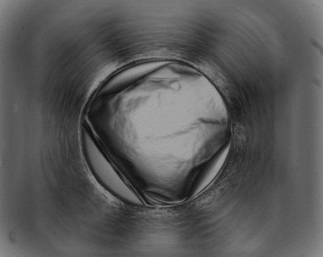 X0000091560998200709071123