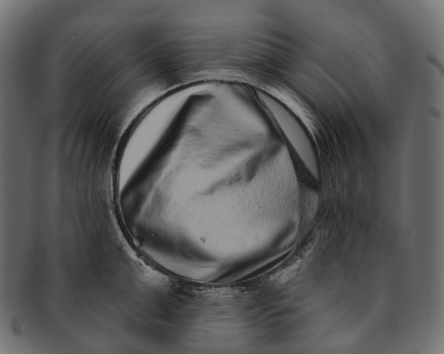 X0000091560999200709071123