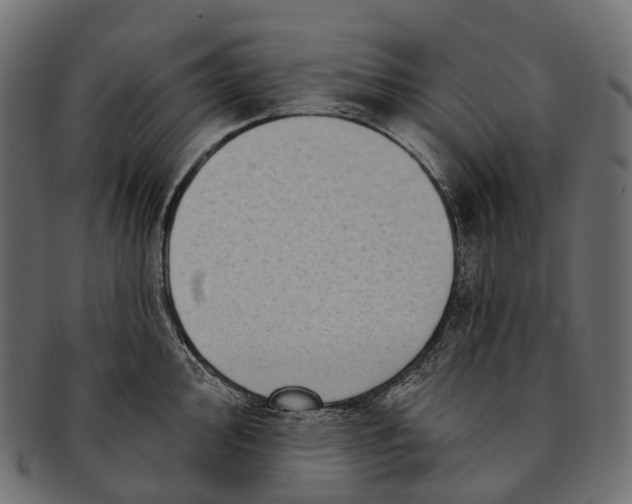 X0000091561000200709071123