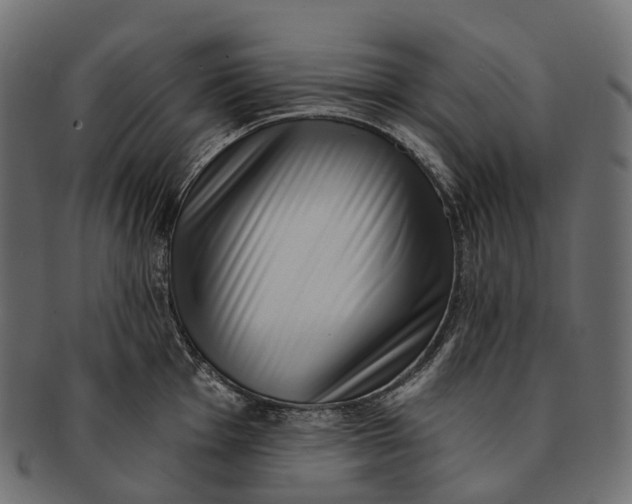 X0000091561001200709071123