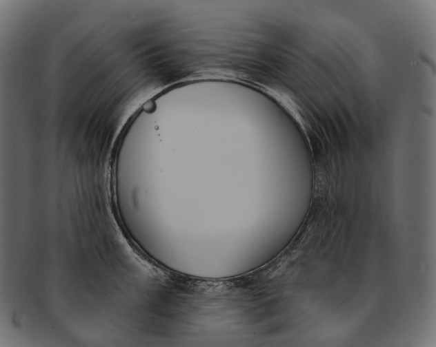 X0000091561003200709071123