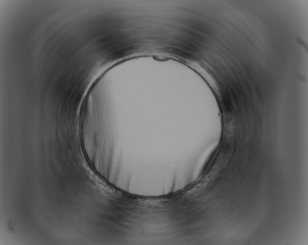 X0000091561004200709071123