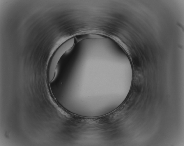 X0000091561005200709071123