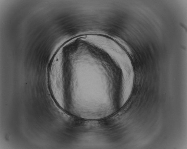 X0000091561006200709071123