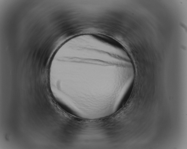 X0000091561008200709071123