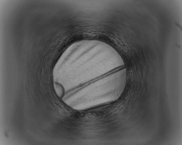 X0000091561009200709071122