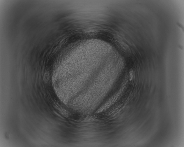 X0000091561011200709071122