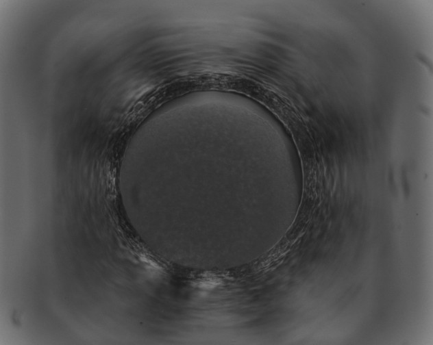 X0000091561013200709071122