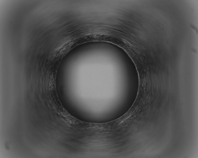 X0000091561014200709071122