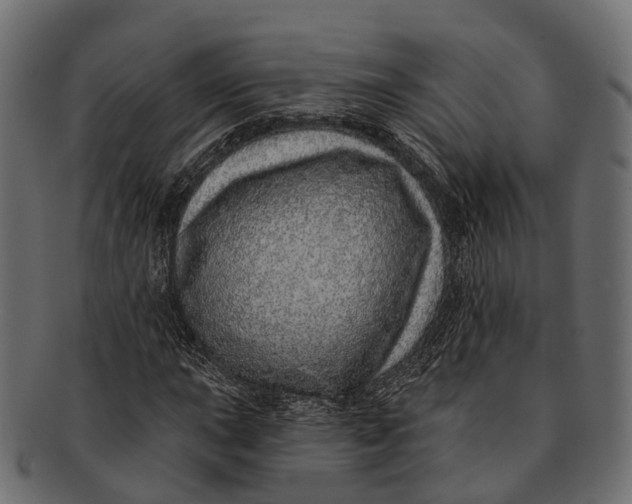 X0000091561015200709071122