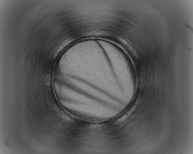 X0000091561017200709071122