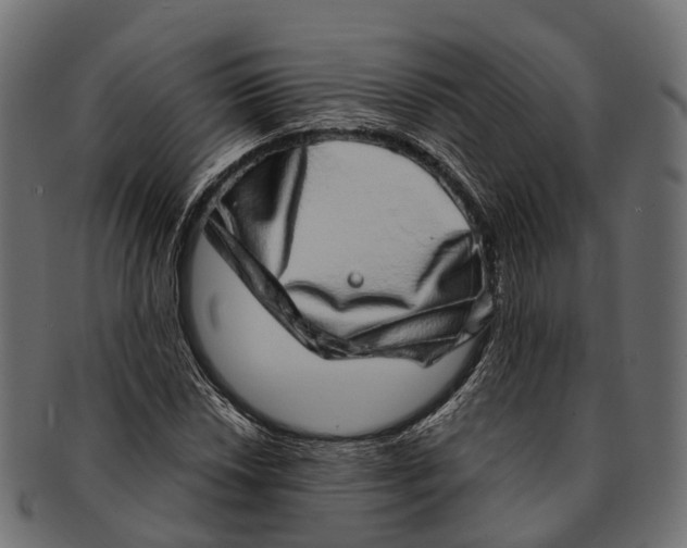 X0000091561018200709071122