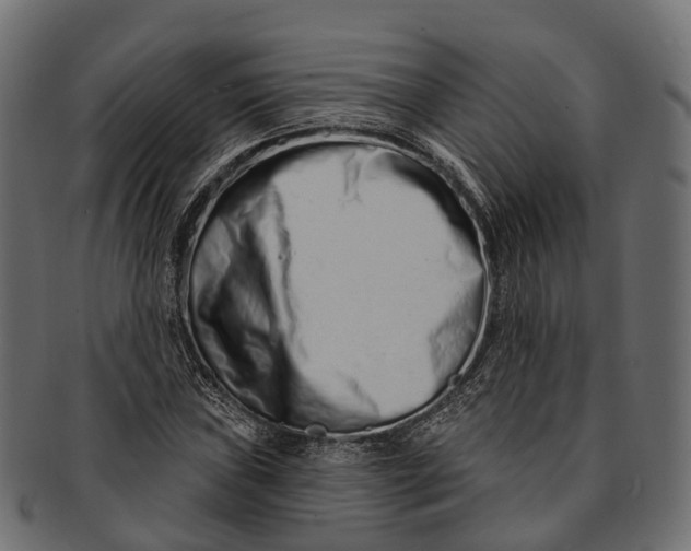 X0000091561019200709071122