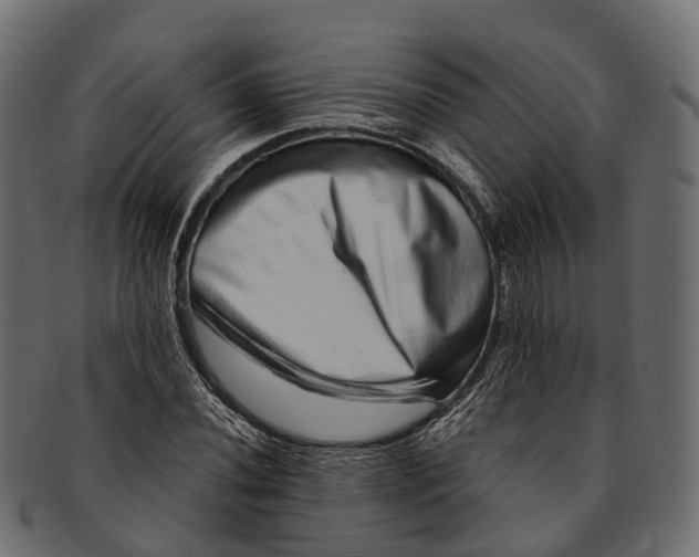 X0000091561020200709071122