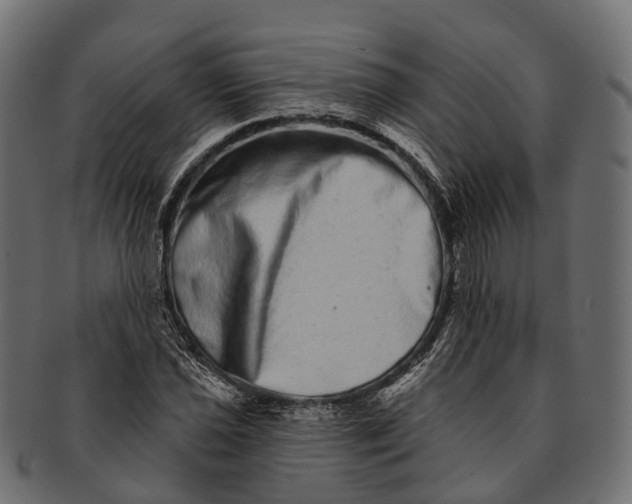 X0000091561021200709071122