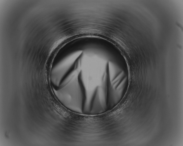 X0000091561022200709071122