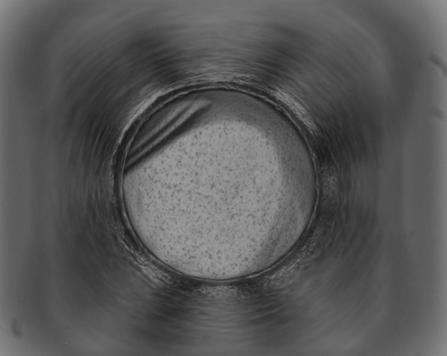 X0000091561023200709071122