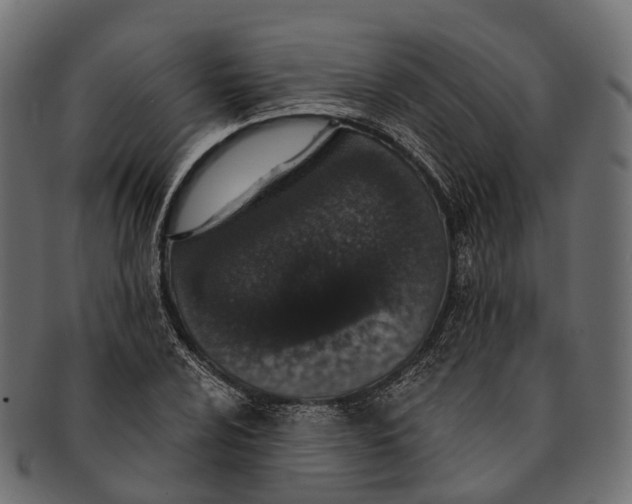 X0000091561024200709071122