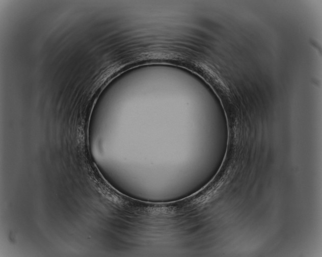 X0000091561025200709071122