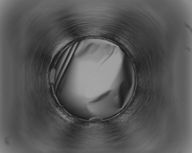 X0000091561026200709071122