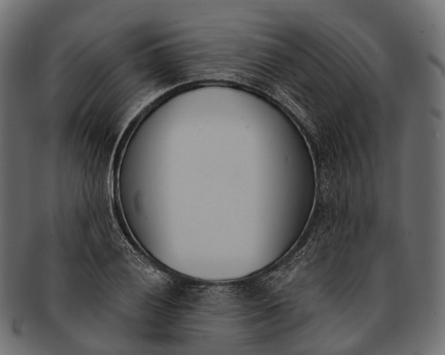 X0000091561028200709071122