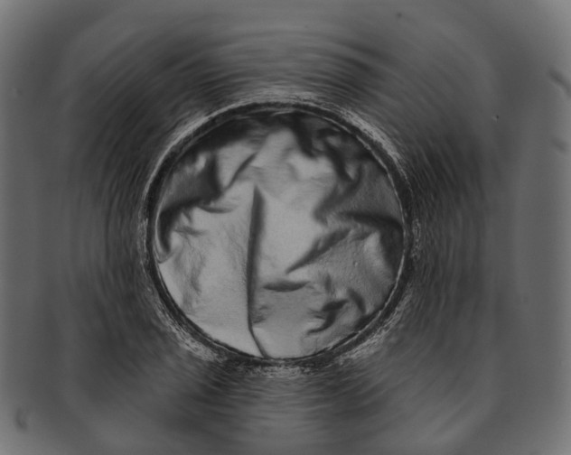 X0000091561029200709071122