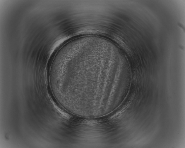 X0000091561030200709071122