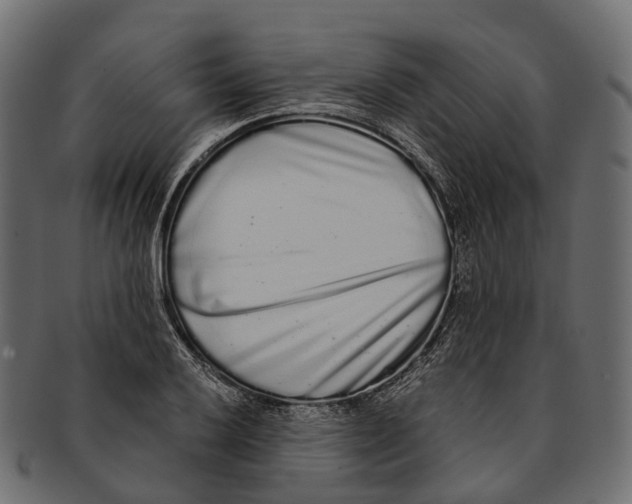 X0000091561032200709071122