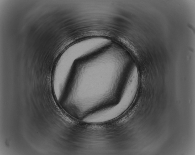 X0000091561033200709071122