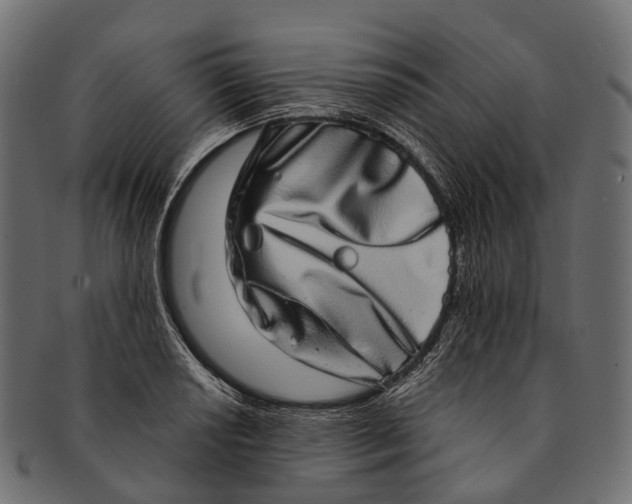 X0000091561034200709071122