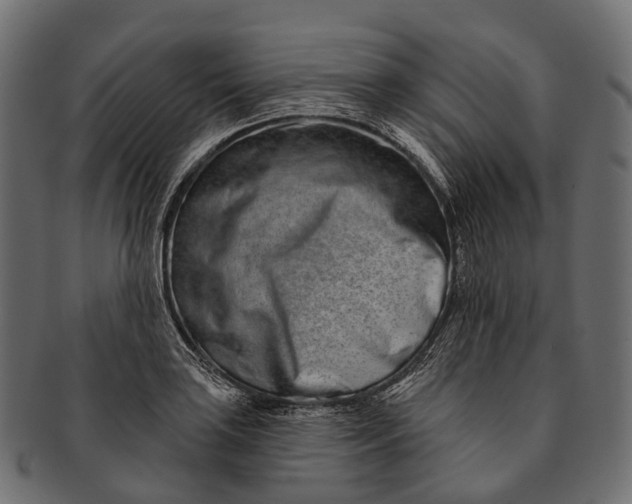 X0000091561035200709071122