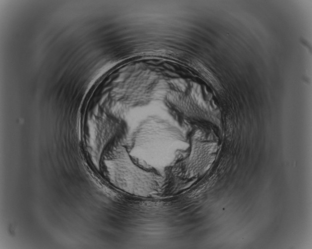 X0000091561036200709071122