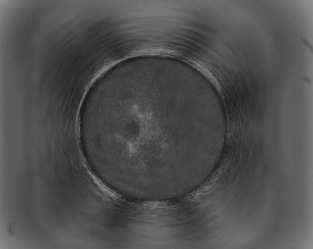 X0000091561037200709071122