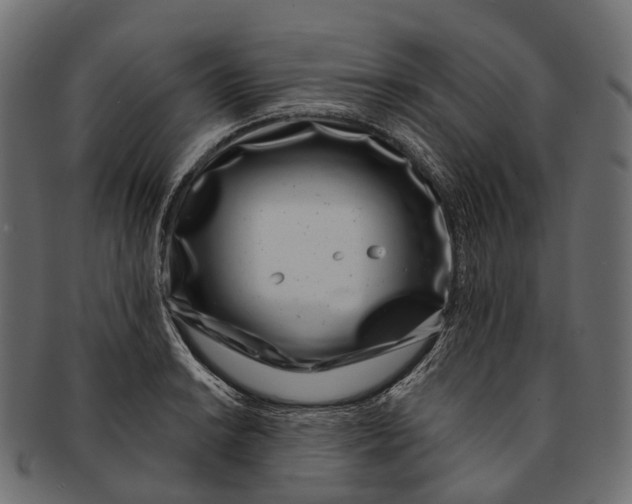 X0000091561038200709071122