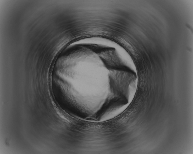 X0000091561039200709071122