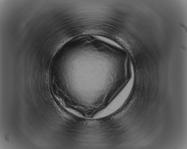 X0000091561041200709071122