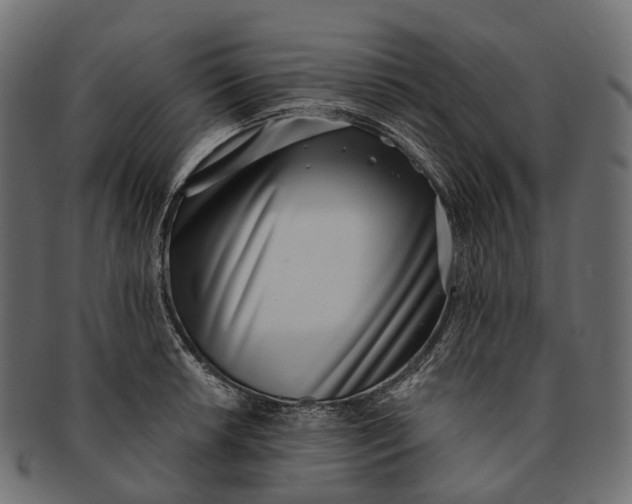 X0000091561042200709071122