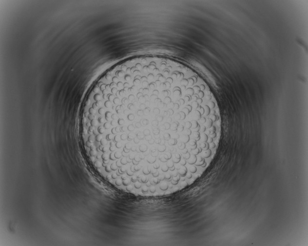 X0000091561044200709071122