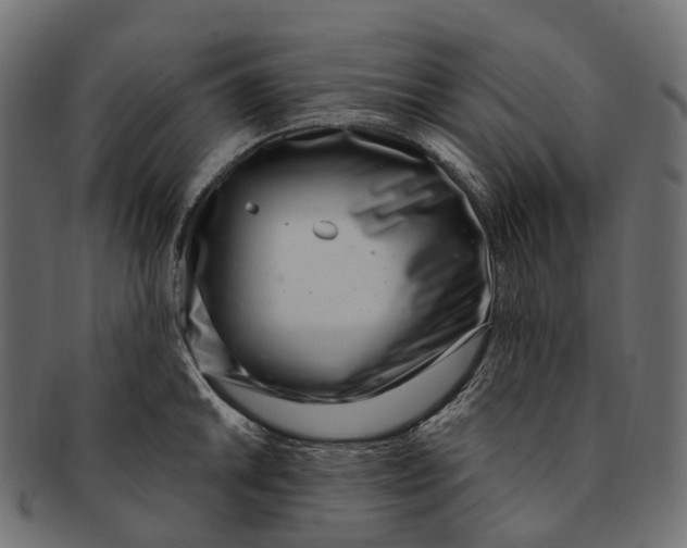 X0000091561046200709071122